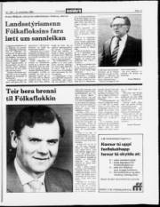 Síða 17