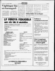 Síða 21