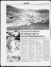 Síða 24
