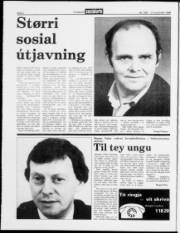 Síða 26