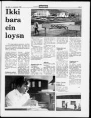 Síða 29