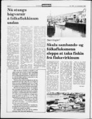 Síða 4