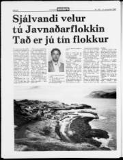 Síða 19