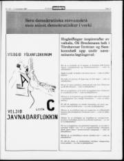 Síða 11