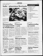 Síða 23