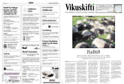 Síða 10