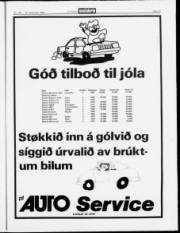 Síða 13