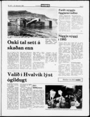 Síða 5