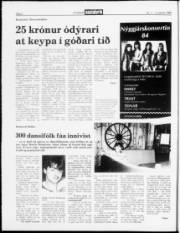 Síða 2
