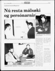 Síða 3