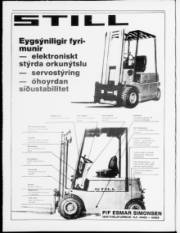 Síða 2