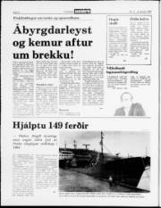 Síða 4