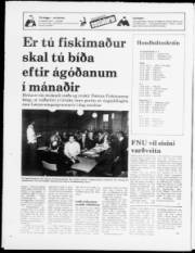 Síða 20