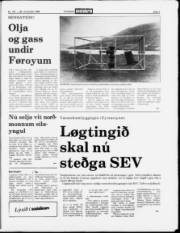 Síða 3