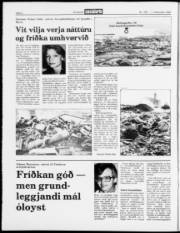 Síða 2