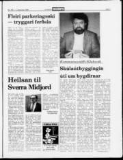 Síða 7