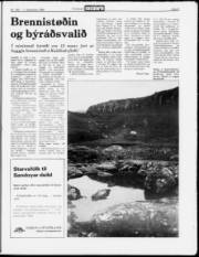 Síða 9