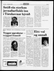 Síða 17