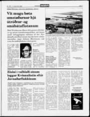 Síða 3