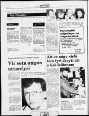 Síða 2