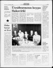 Síða 5