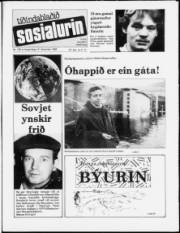 Síða 1