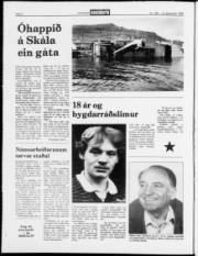 Síða 2