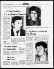Síða 3