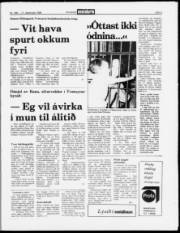 Síða 3