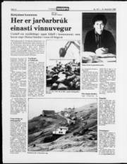 Síða 12