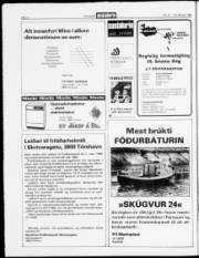 Síða 4