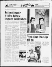 Síða 20