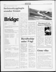 Síða 4