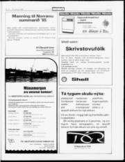 Síða 17
