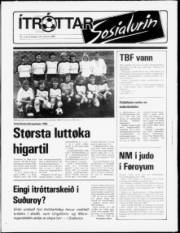 Síða 13