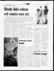 Síða 17