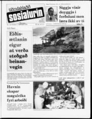 Síða 1