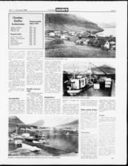 Síða 9