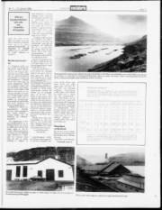 Síða 11