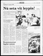 Síða 2