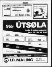 Síða 19