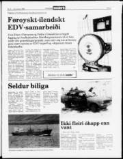 Síða 3
