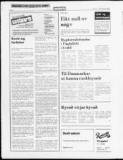 Síða 6