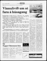 Síða 3