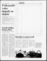 Síða 5