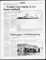 Síða 5