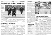 Síða 12