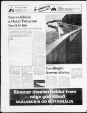Síða 20