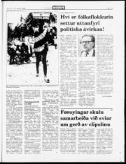 Síða 15