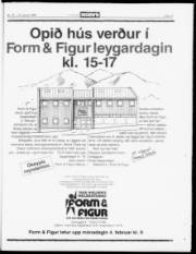 Síða 17